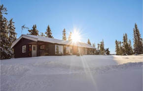 Lovely Home In Sjusjøen With Kitchen